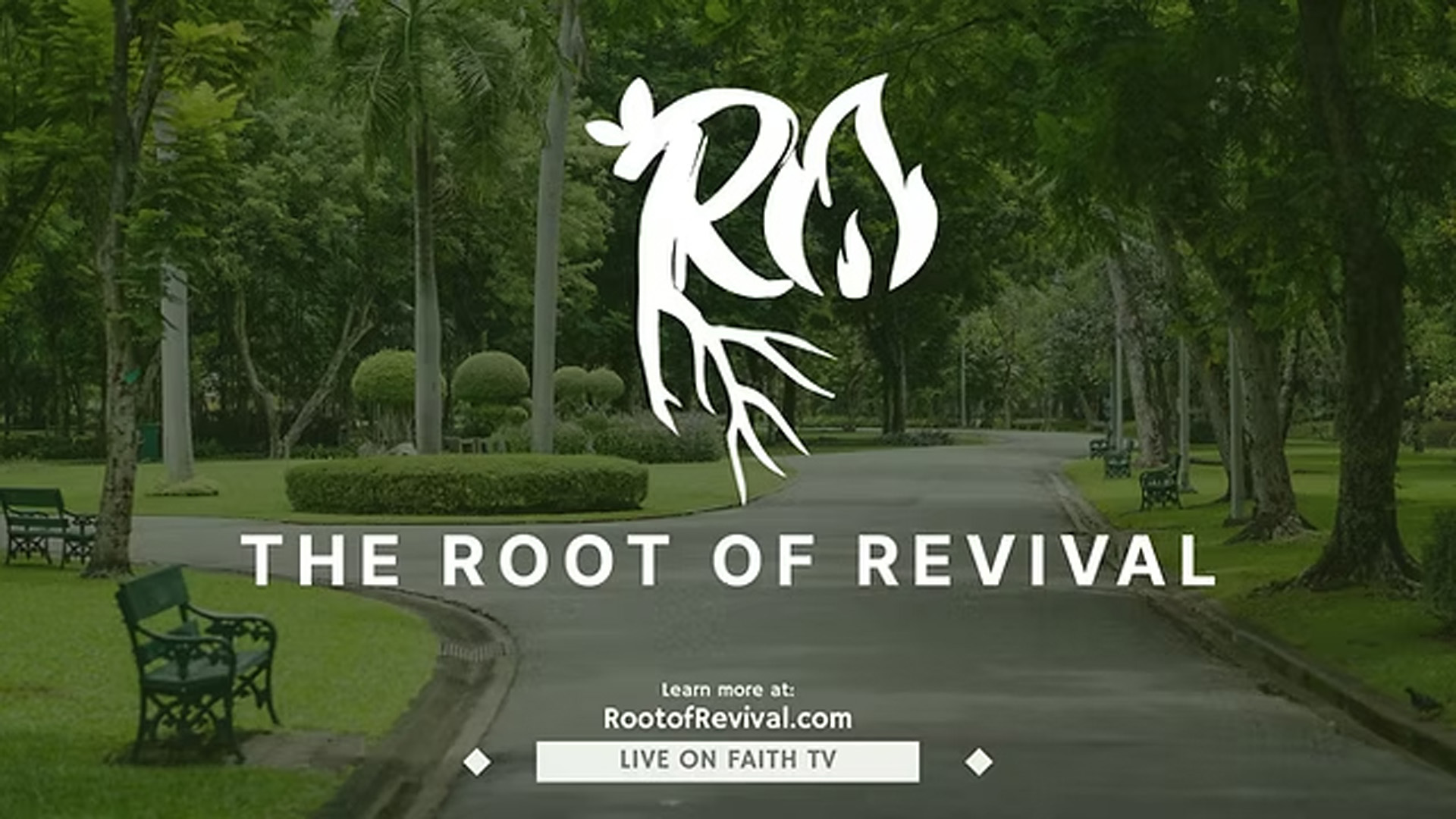 The Root of Revival