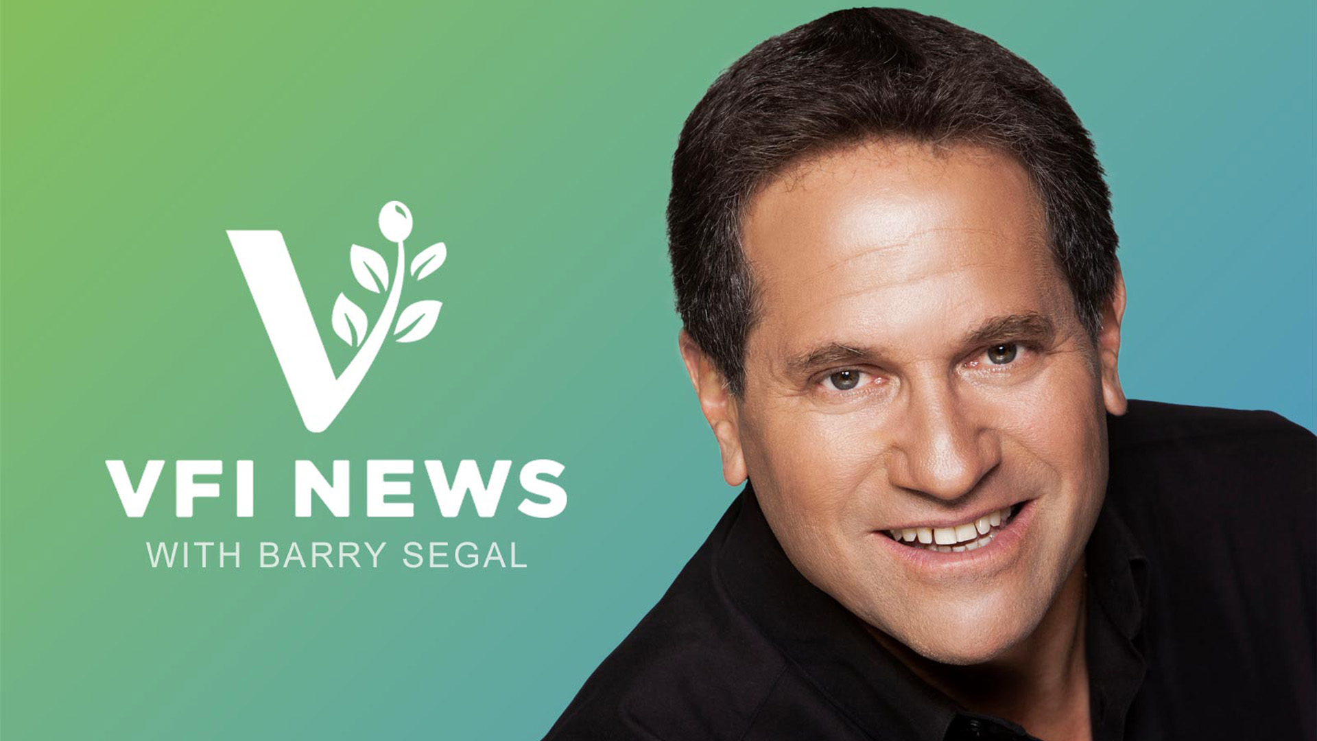 VFI News ("Vision for Israel")